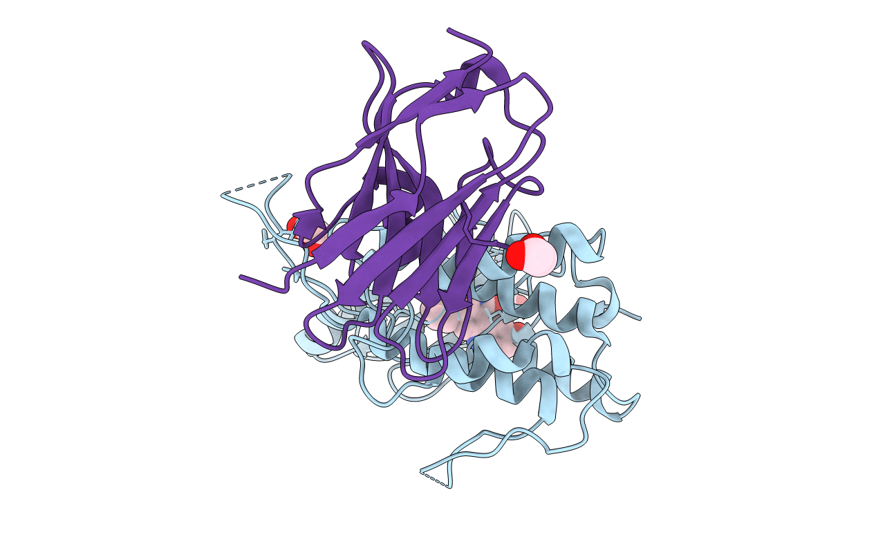 4C58 image