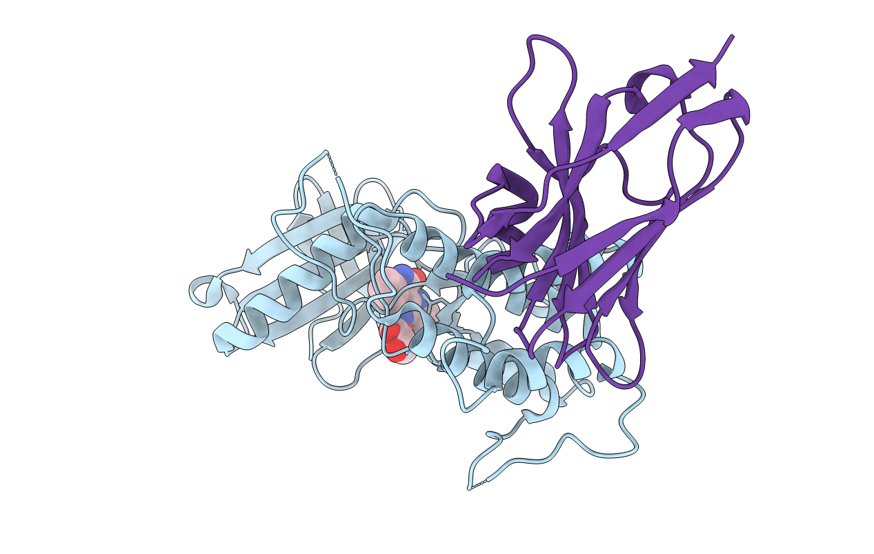 4C59 image