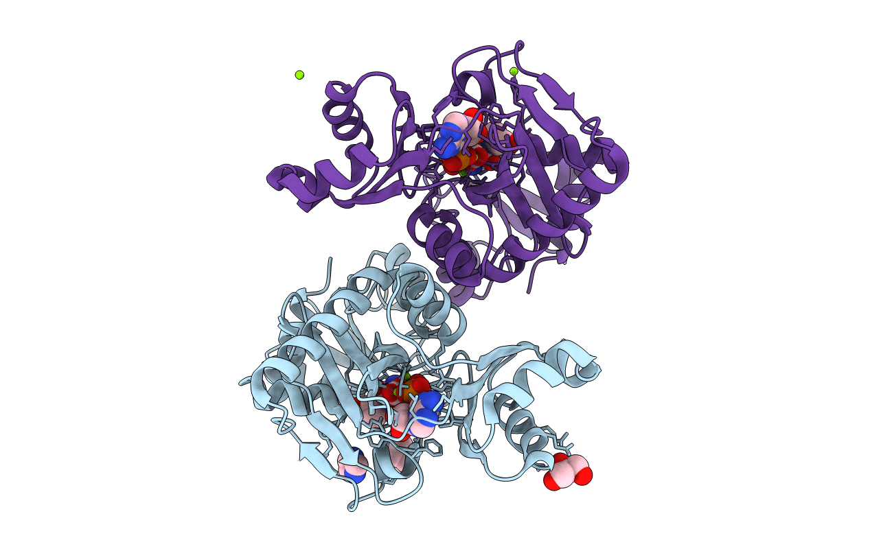 4C5B image