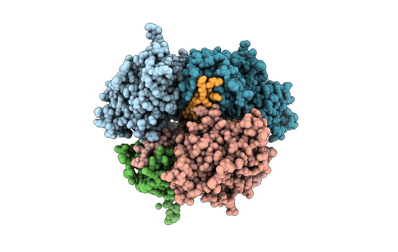 4C5E image