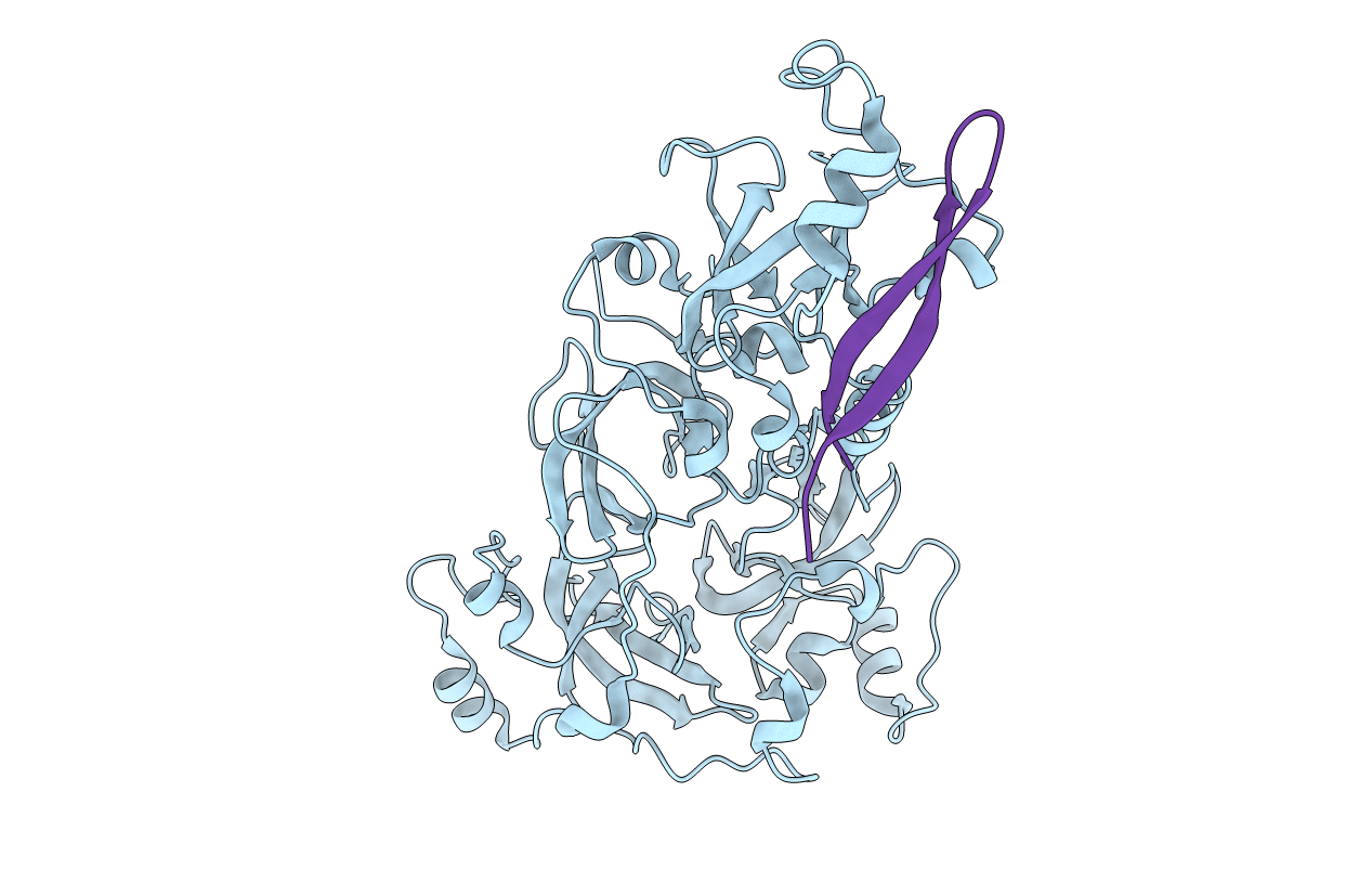 4C5H image