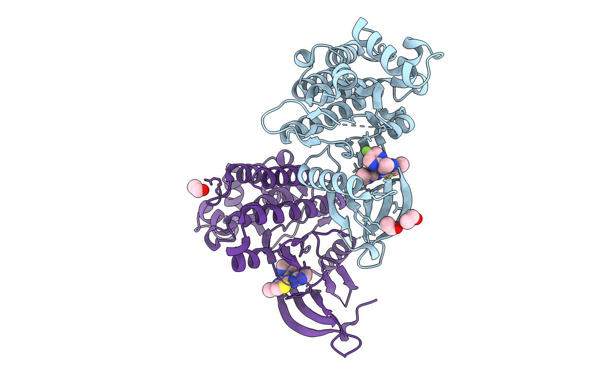 4C61 image