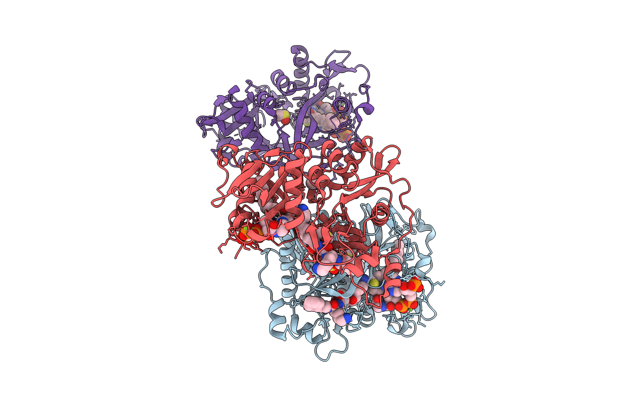 4C68 image