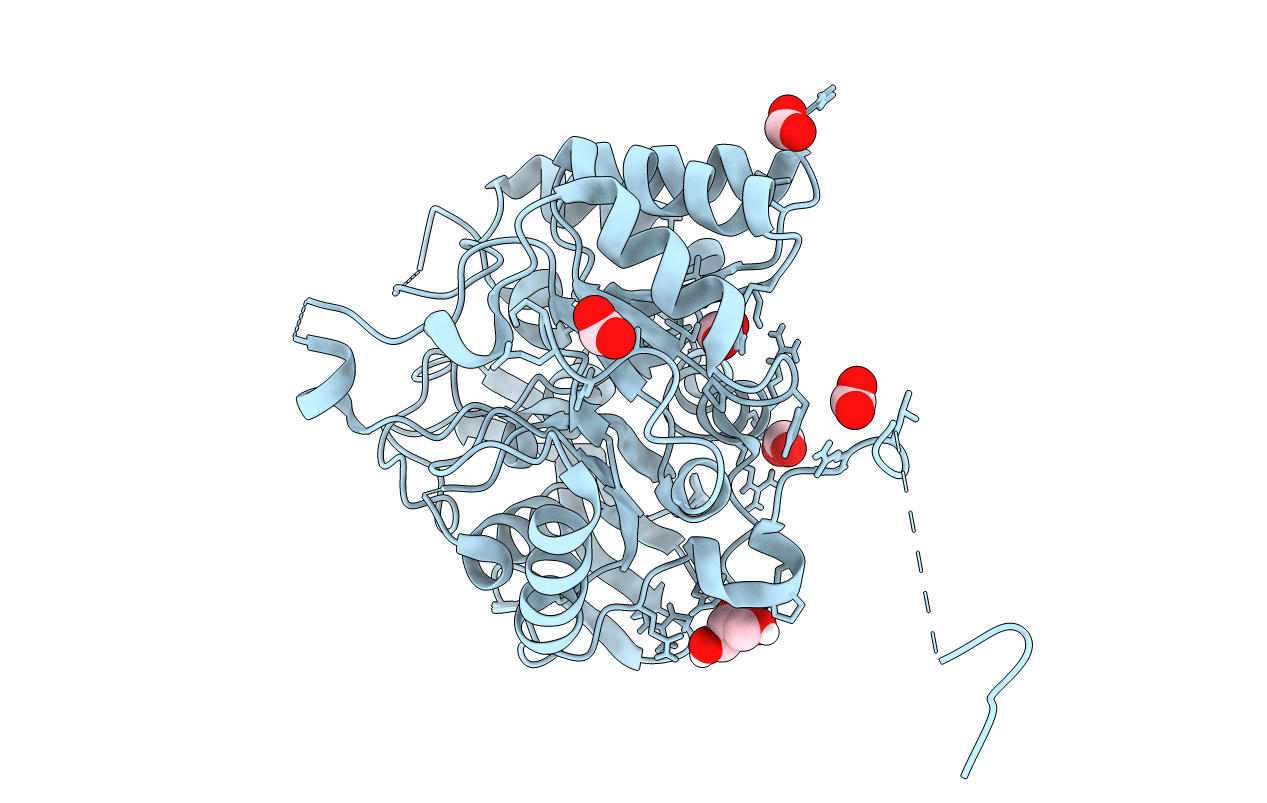 4C6B image