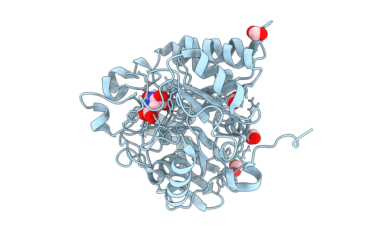 4C6E image