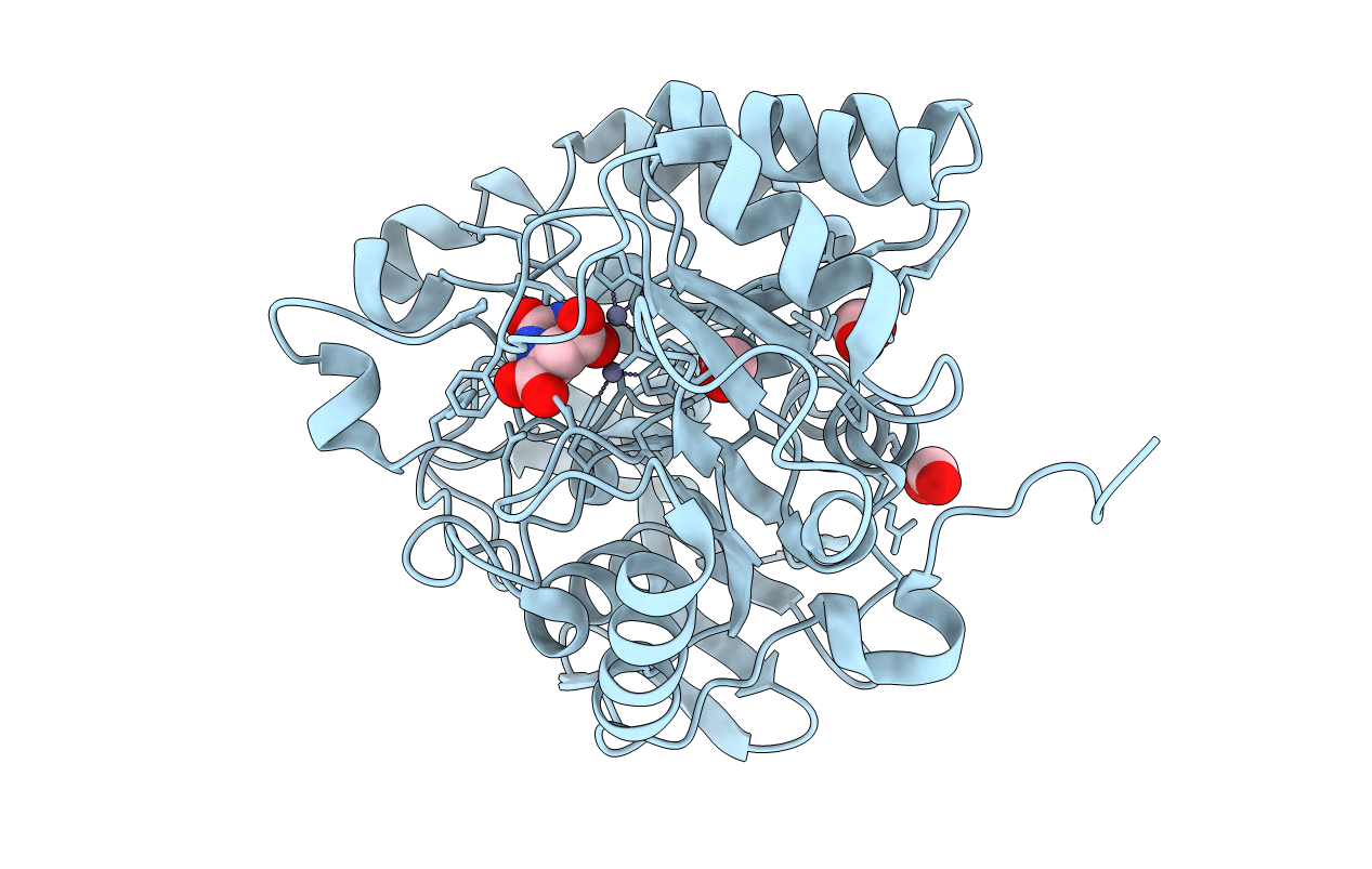 4C6N image