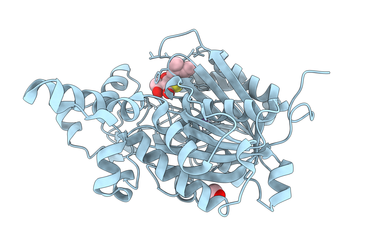 4C6V image