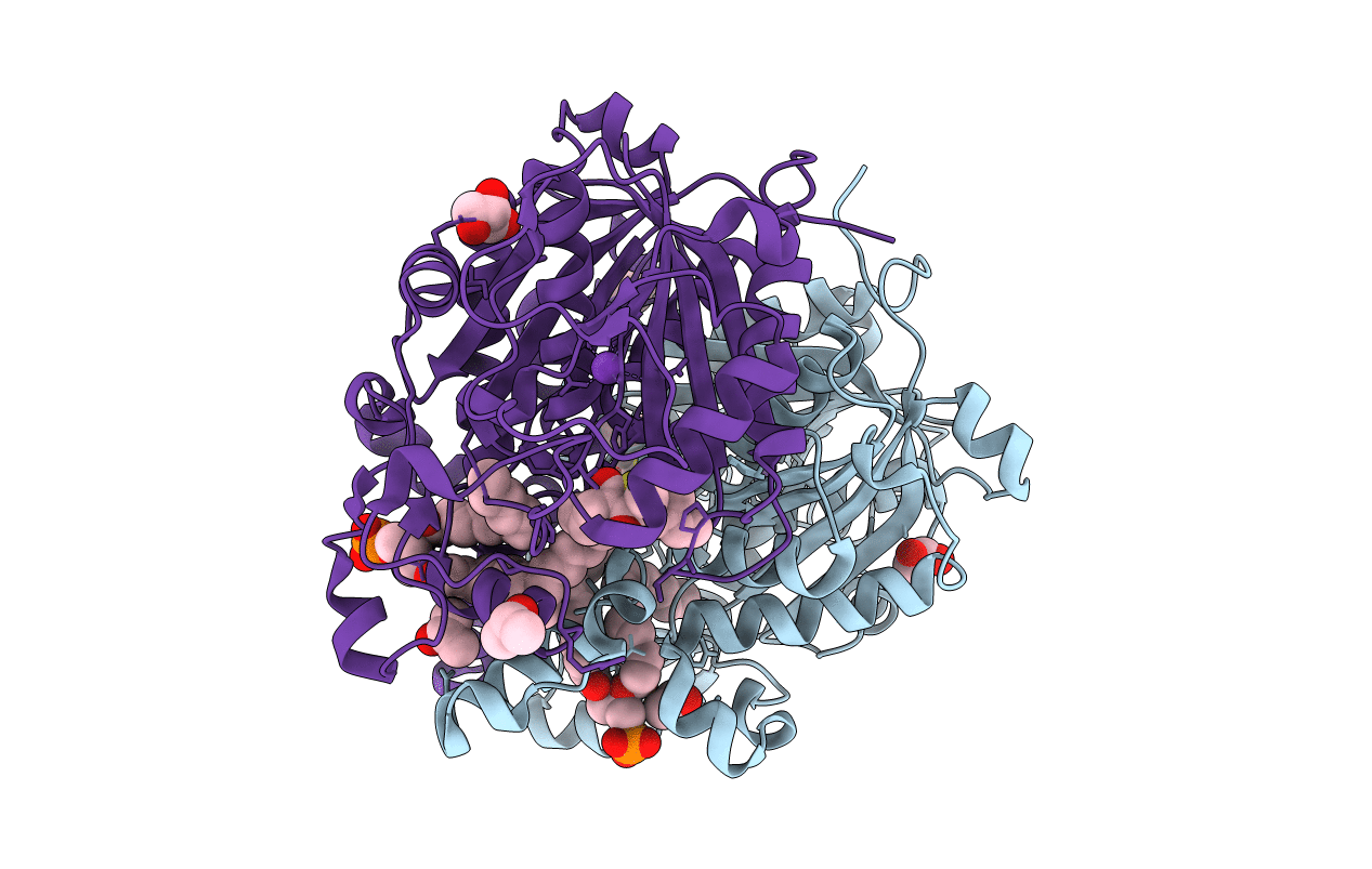 4C70 image