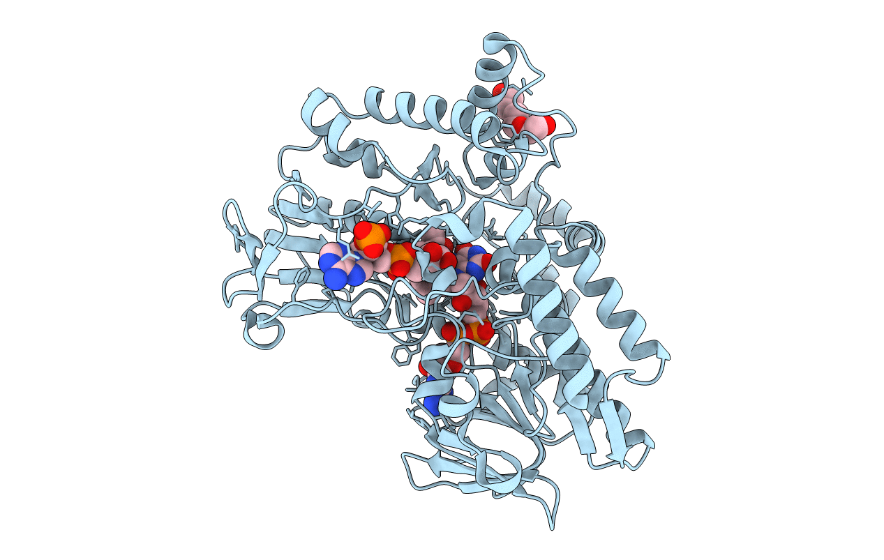 4C74 image