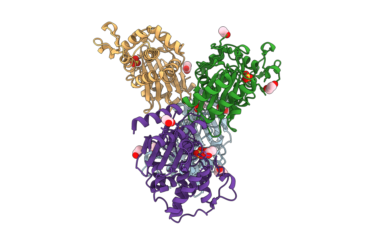4C75 image