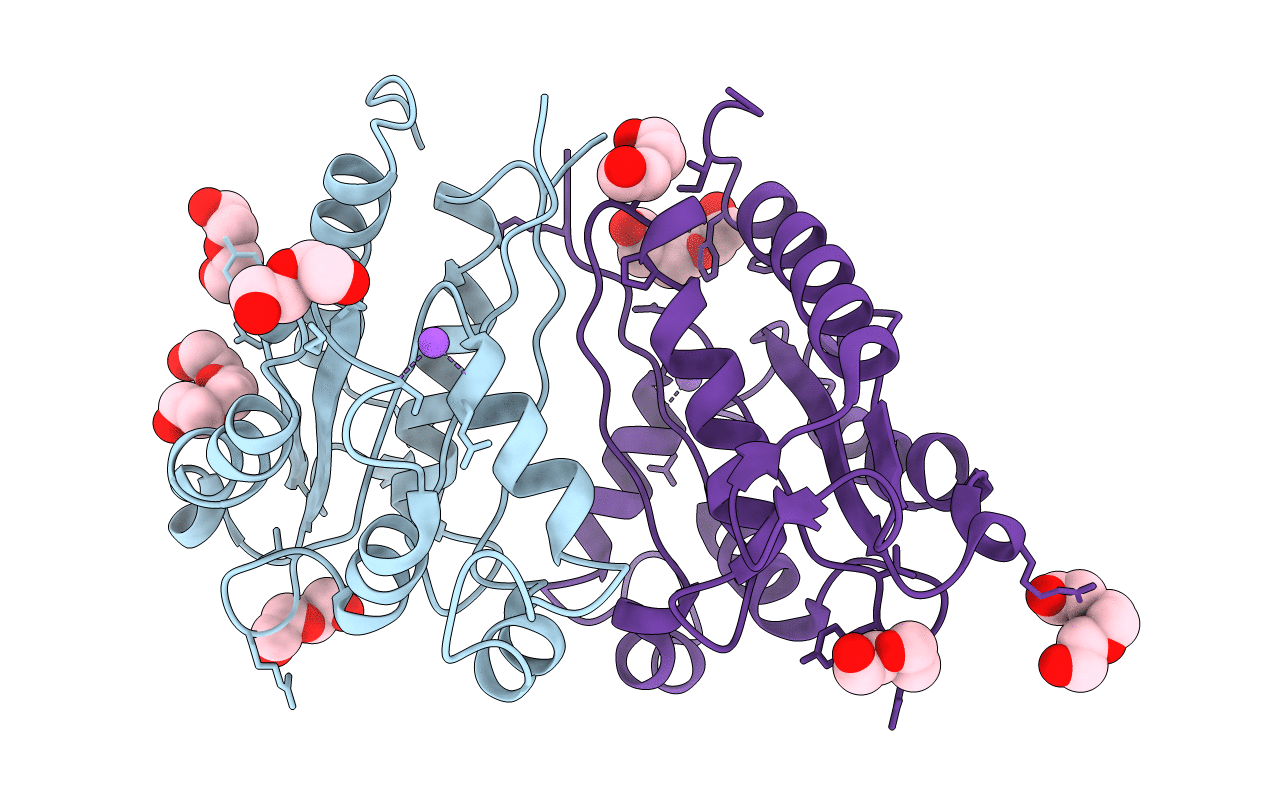 4C76 image