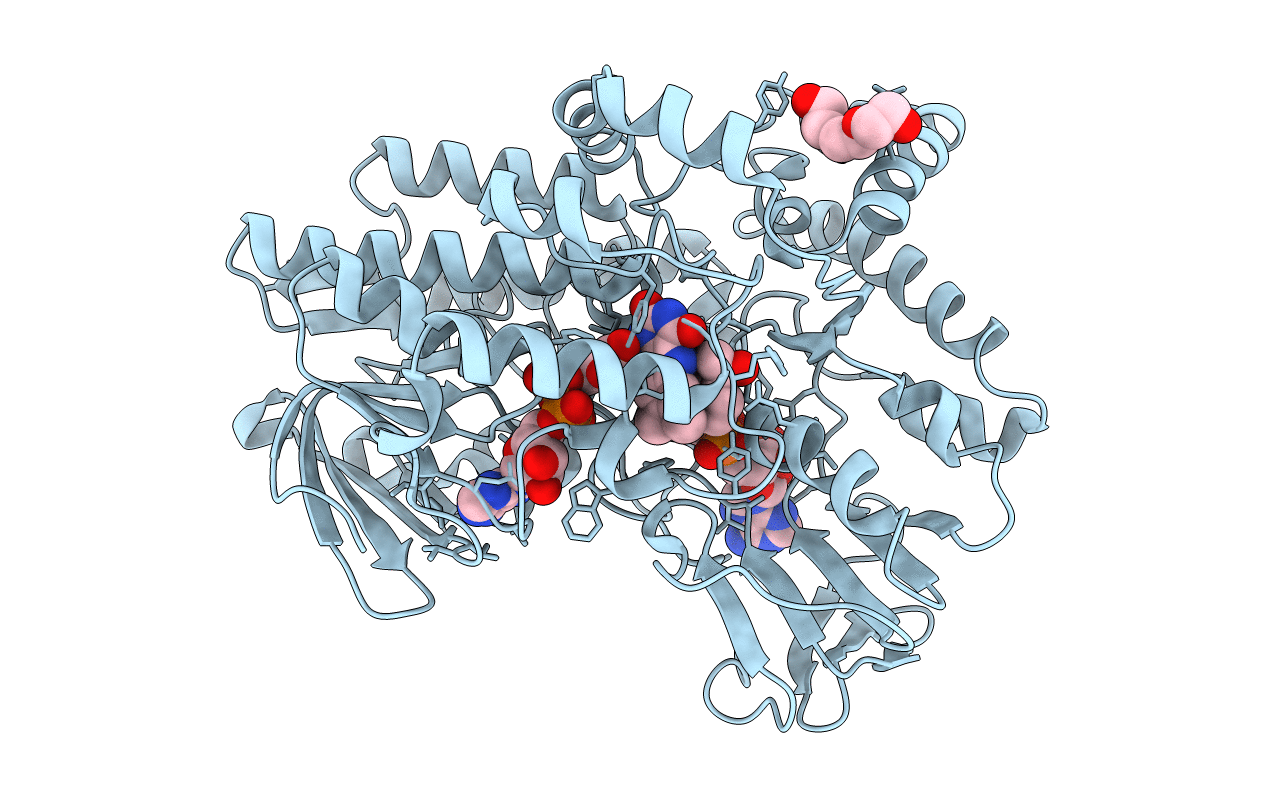 4C77 image