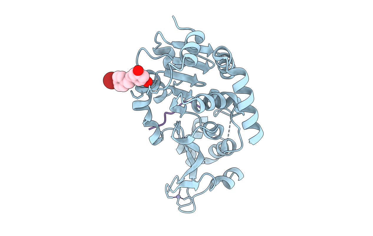 4C78 image