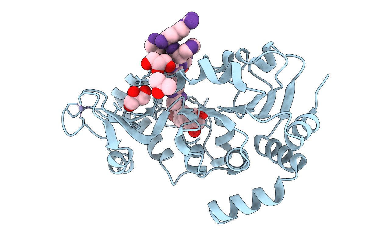 4C7B image