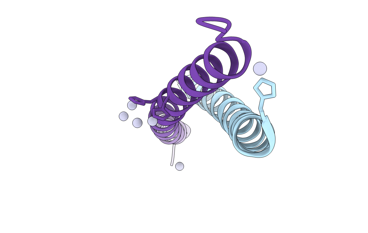 4C7N image