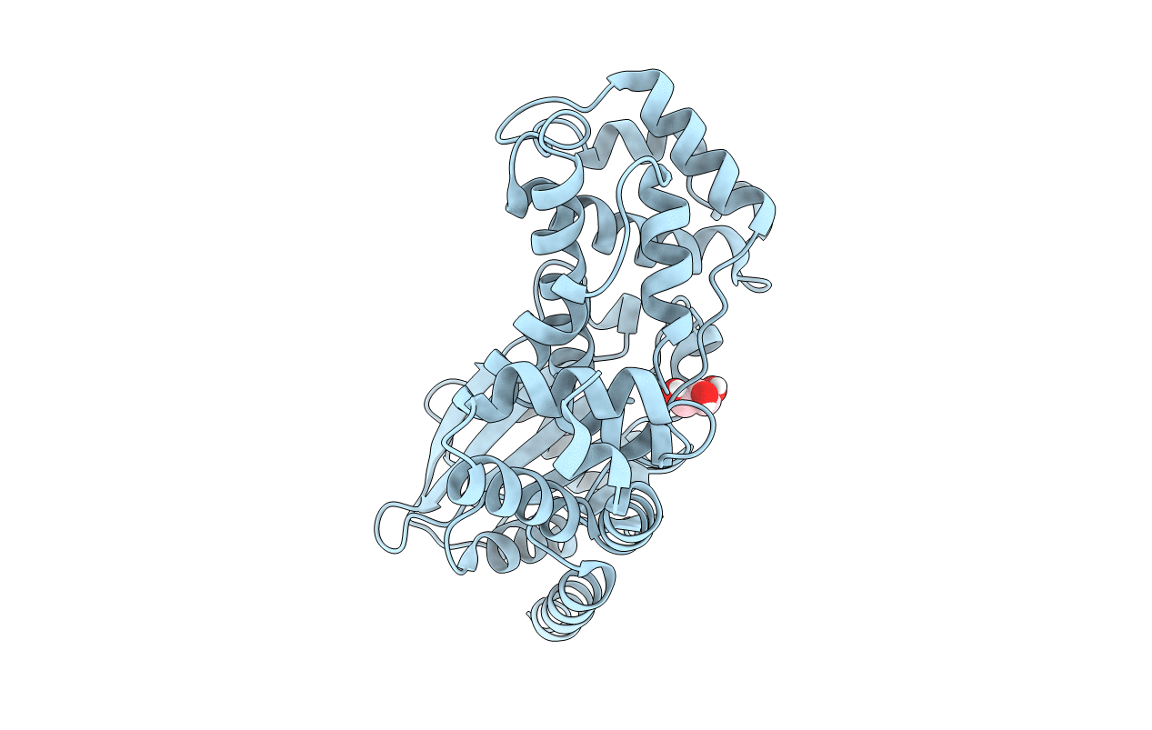 4C7P image