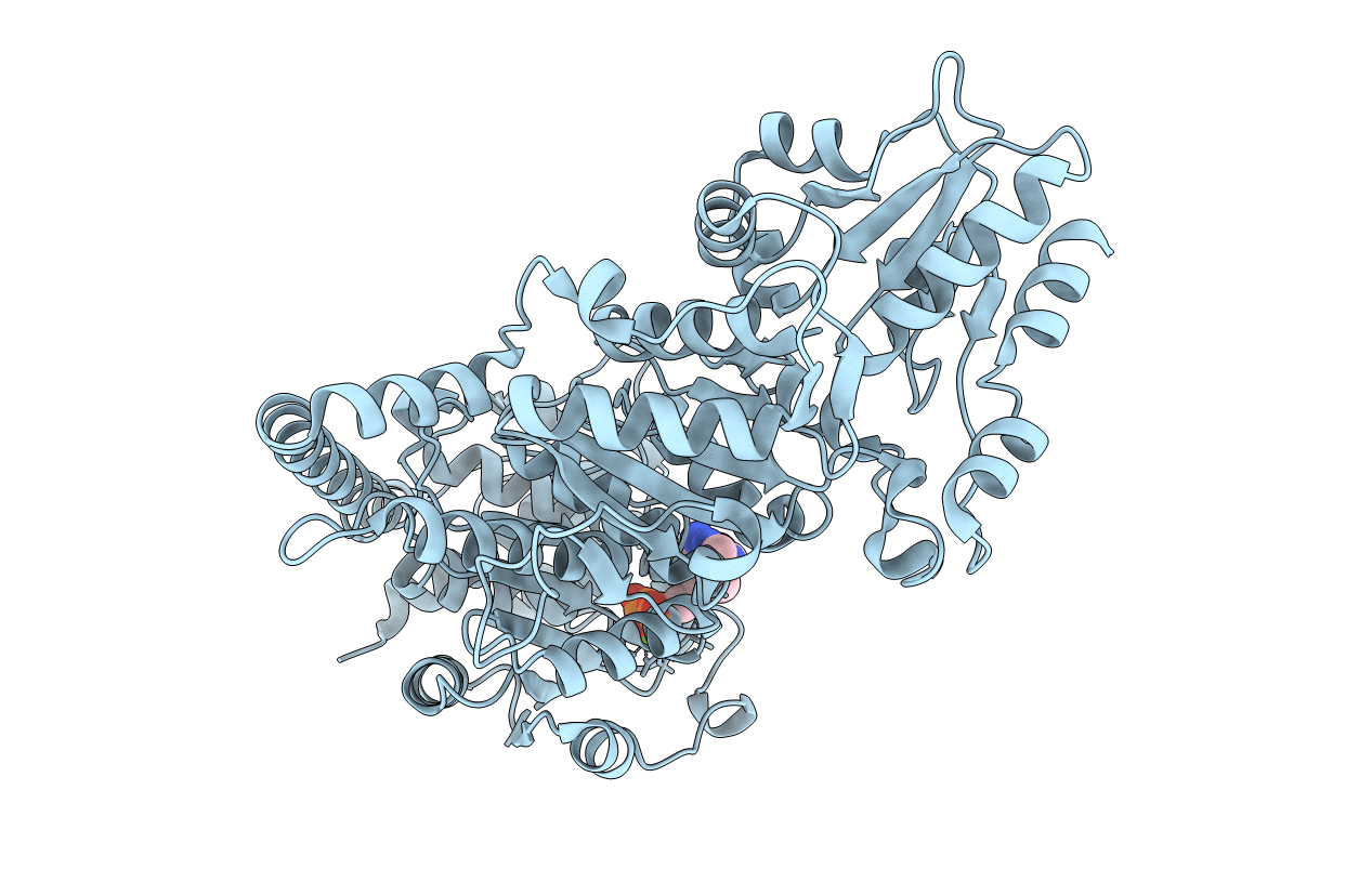 4C7X image