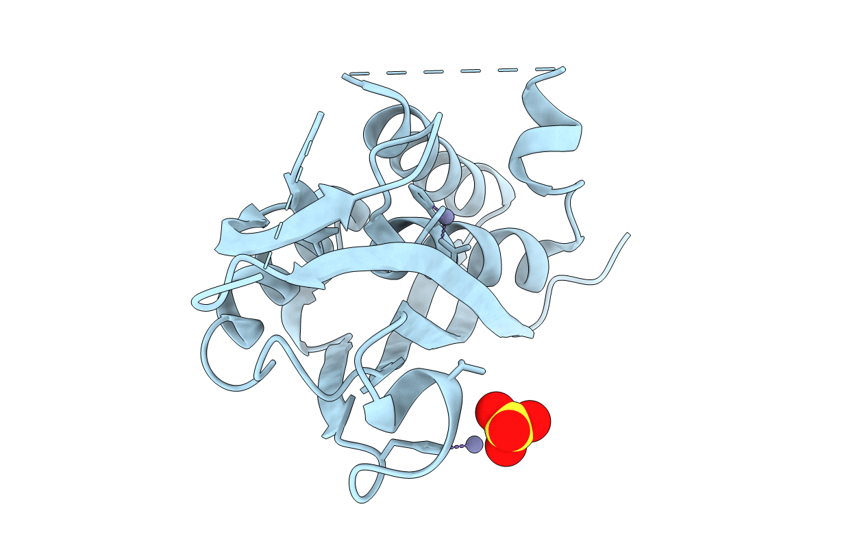 4C82 image