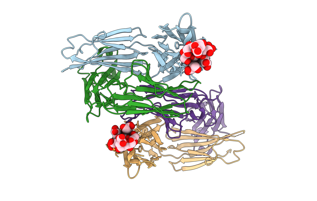 4C83 image