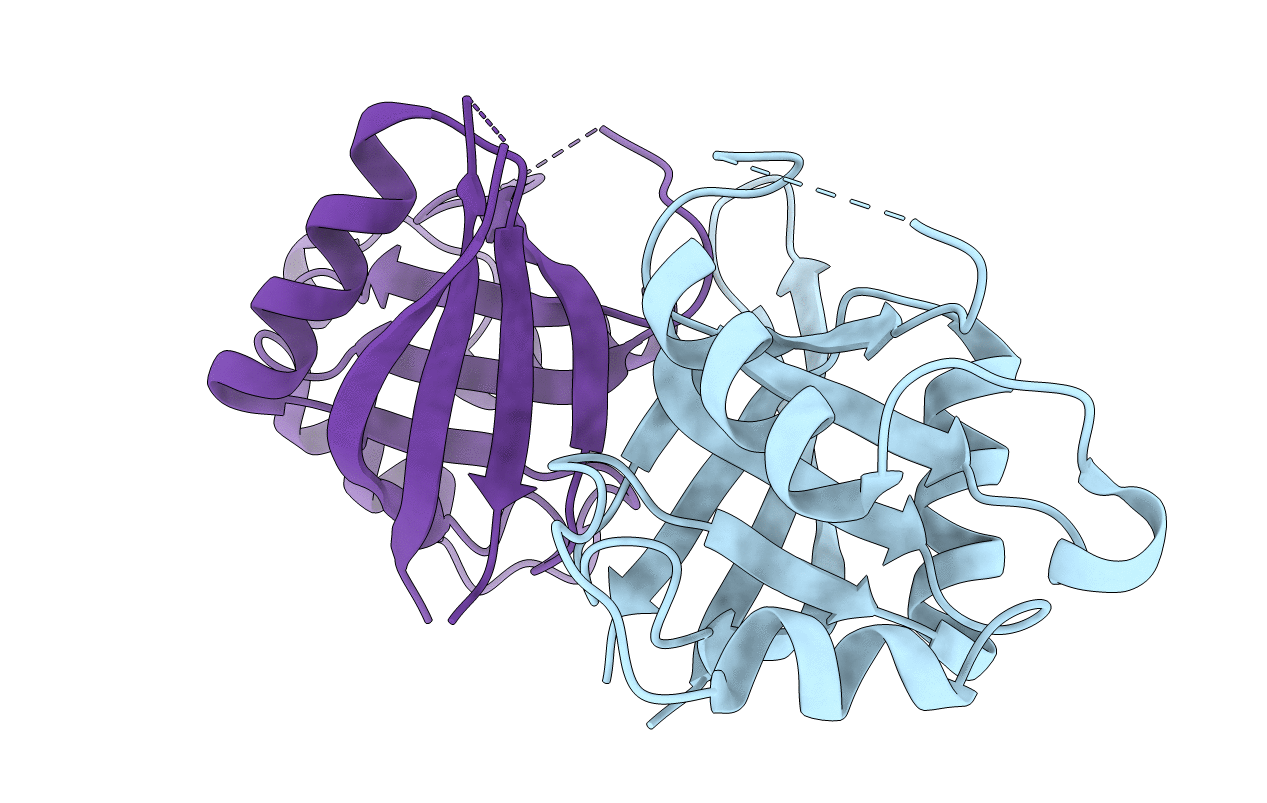 4C85 image