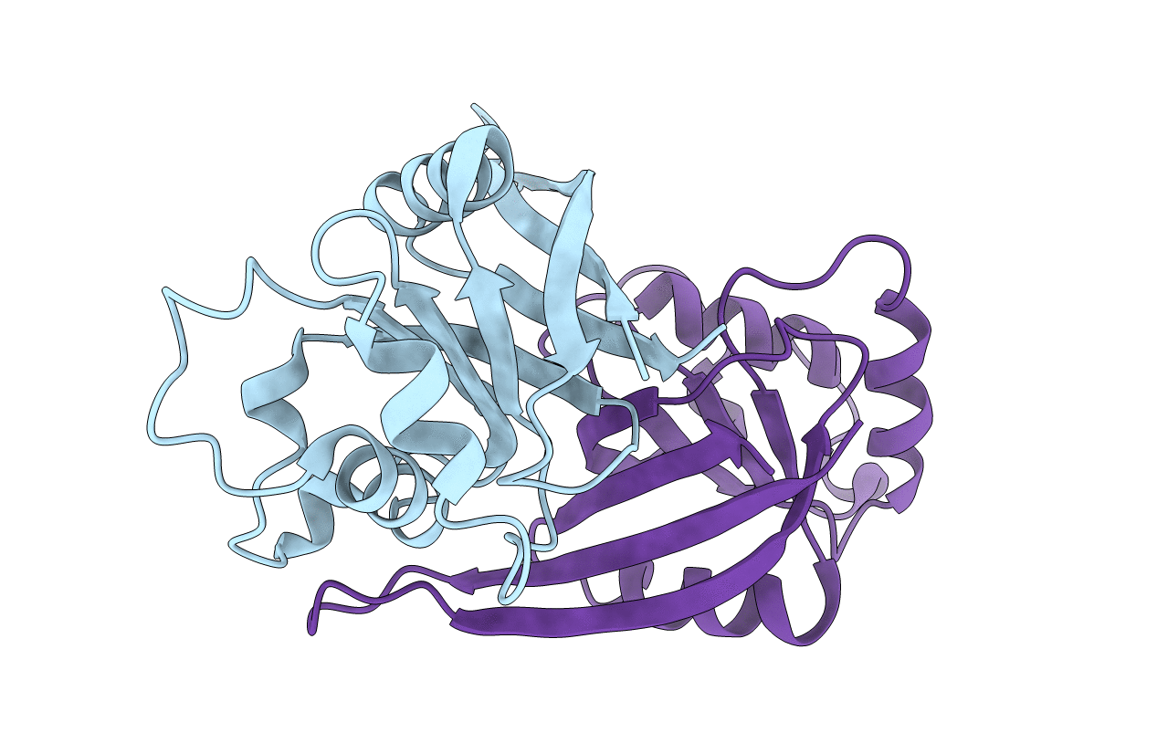 4C86 image