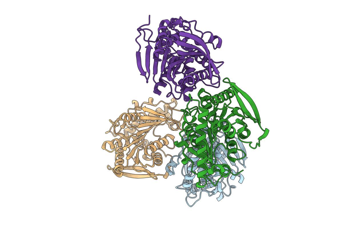 4C88 image