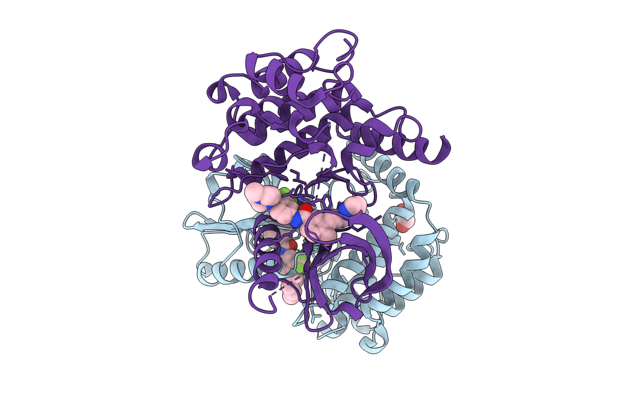 4C8B image