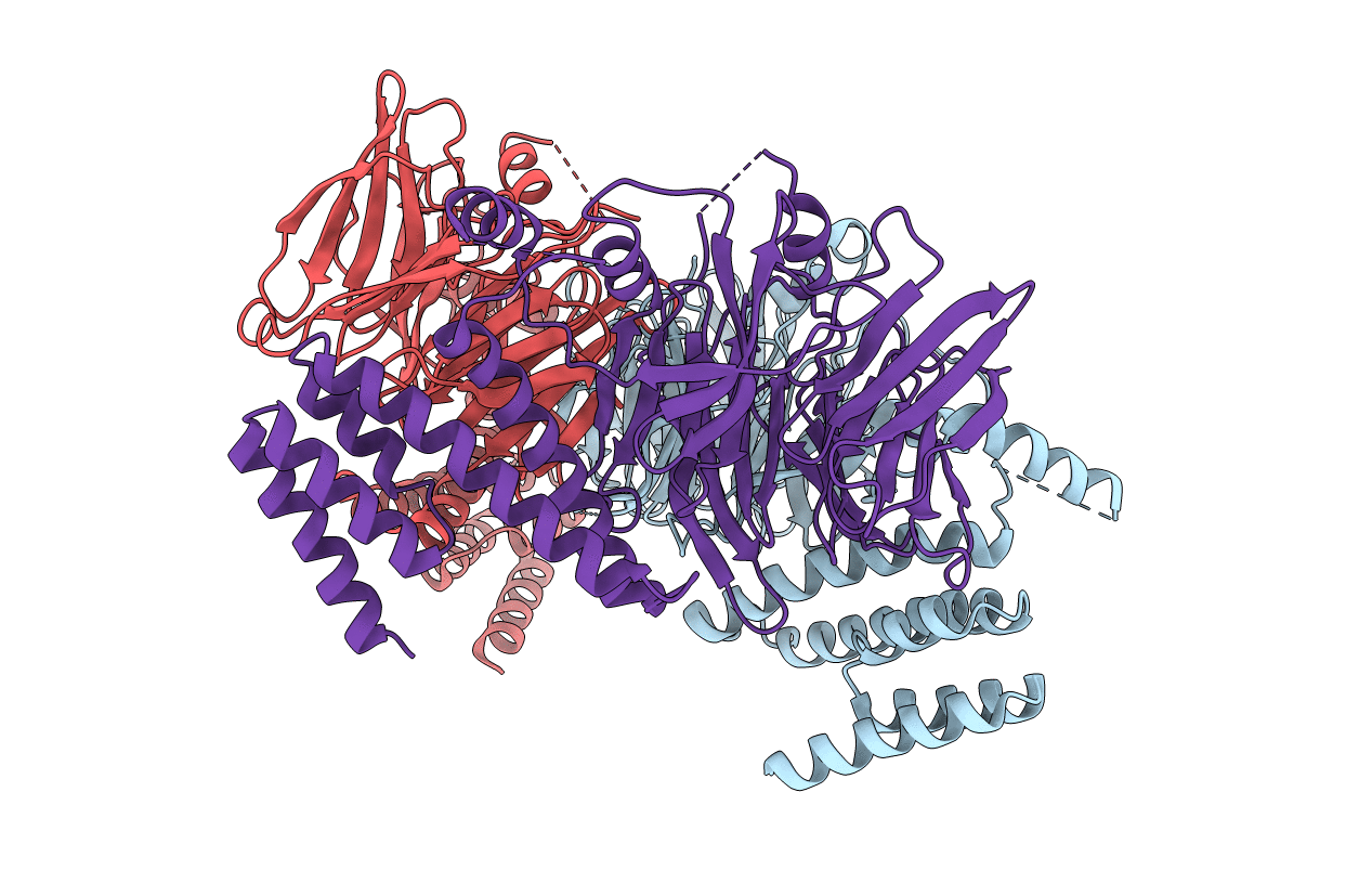 4C8H image