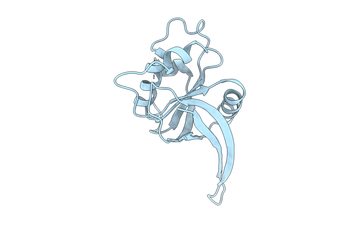 4C8P image