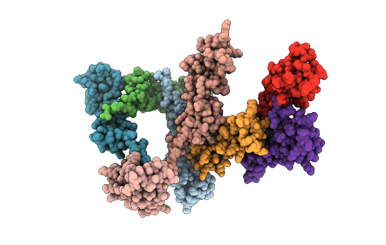 4C8V image