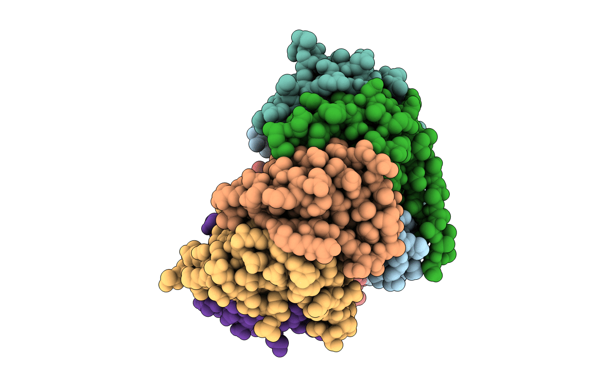 4C92 image