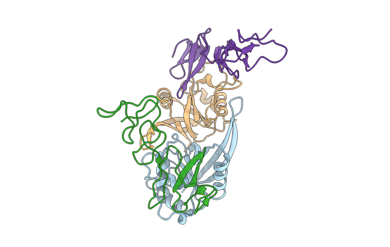 4C9A image