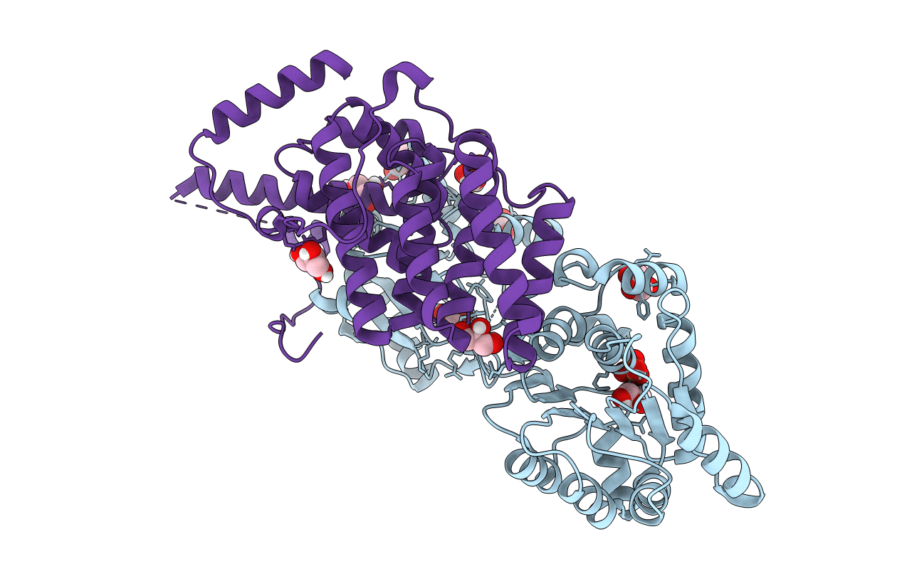 4C9B image