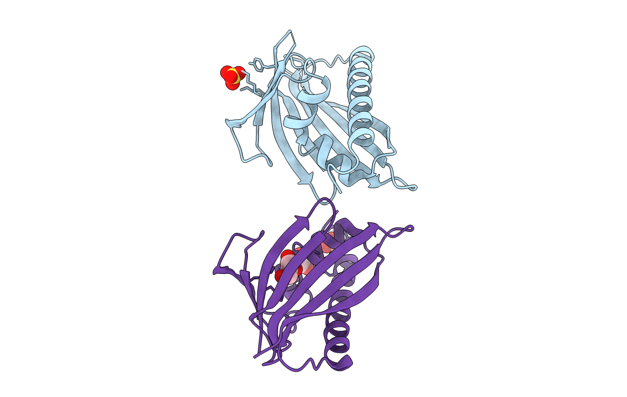 4C9C image