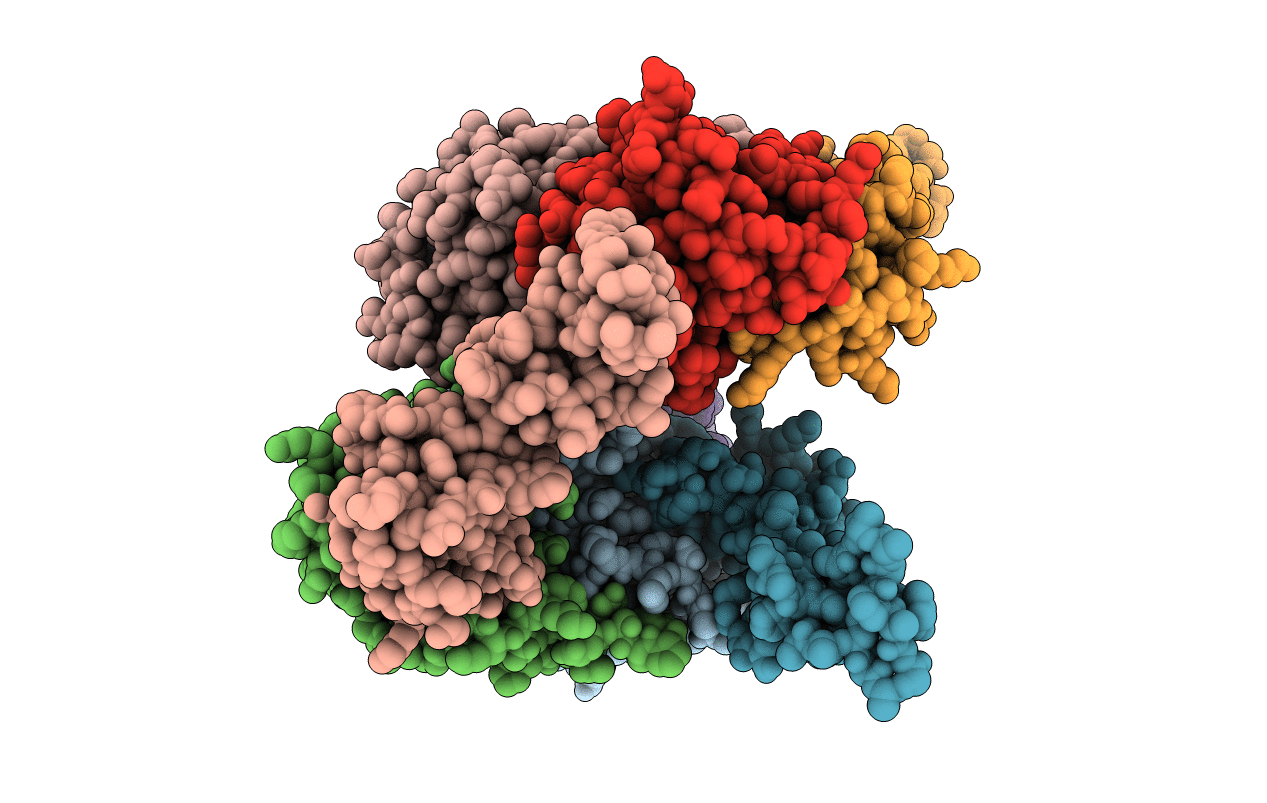 4C9E image