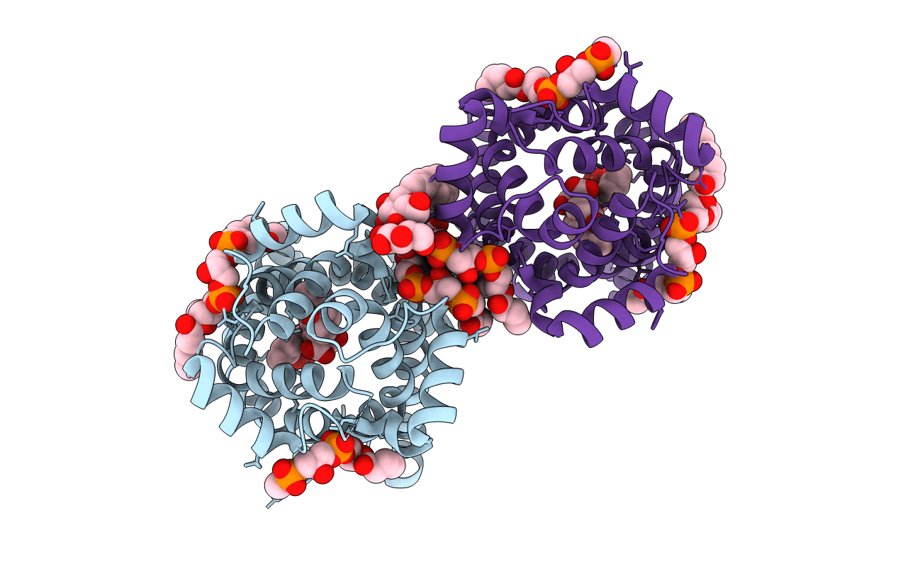4C9H image