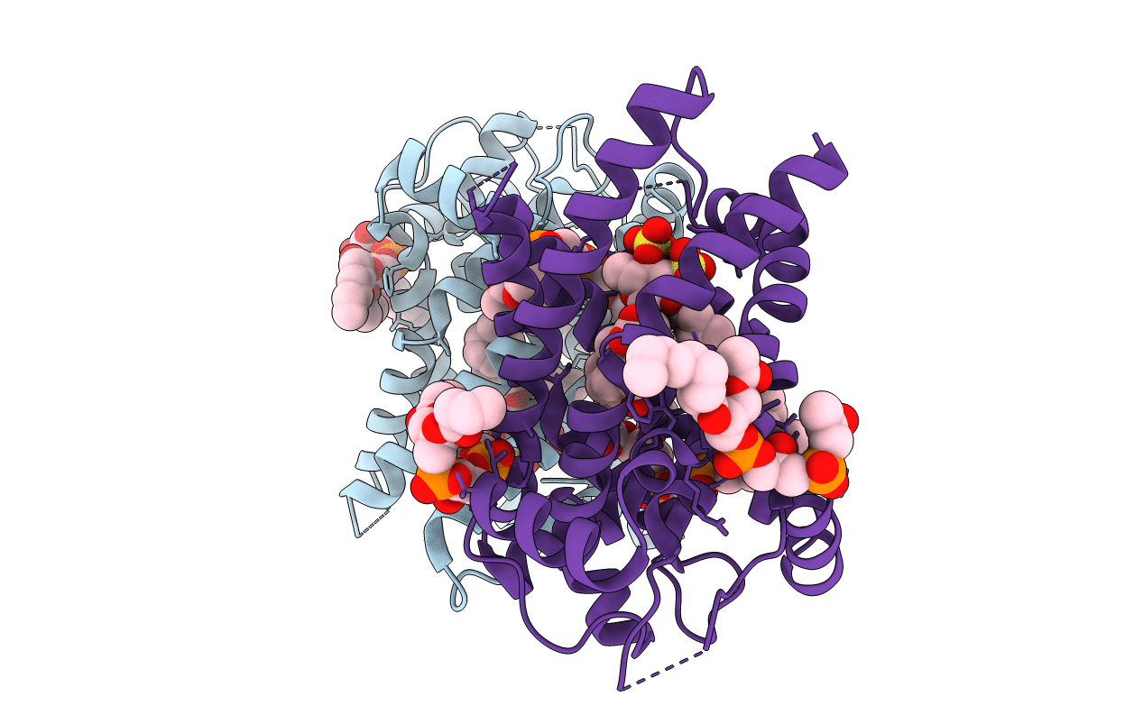 4C9J image