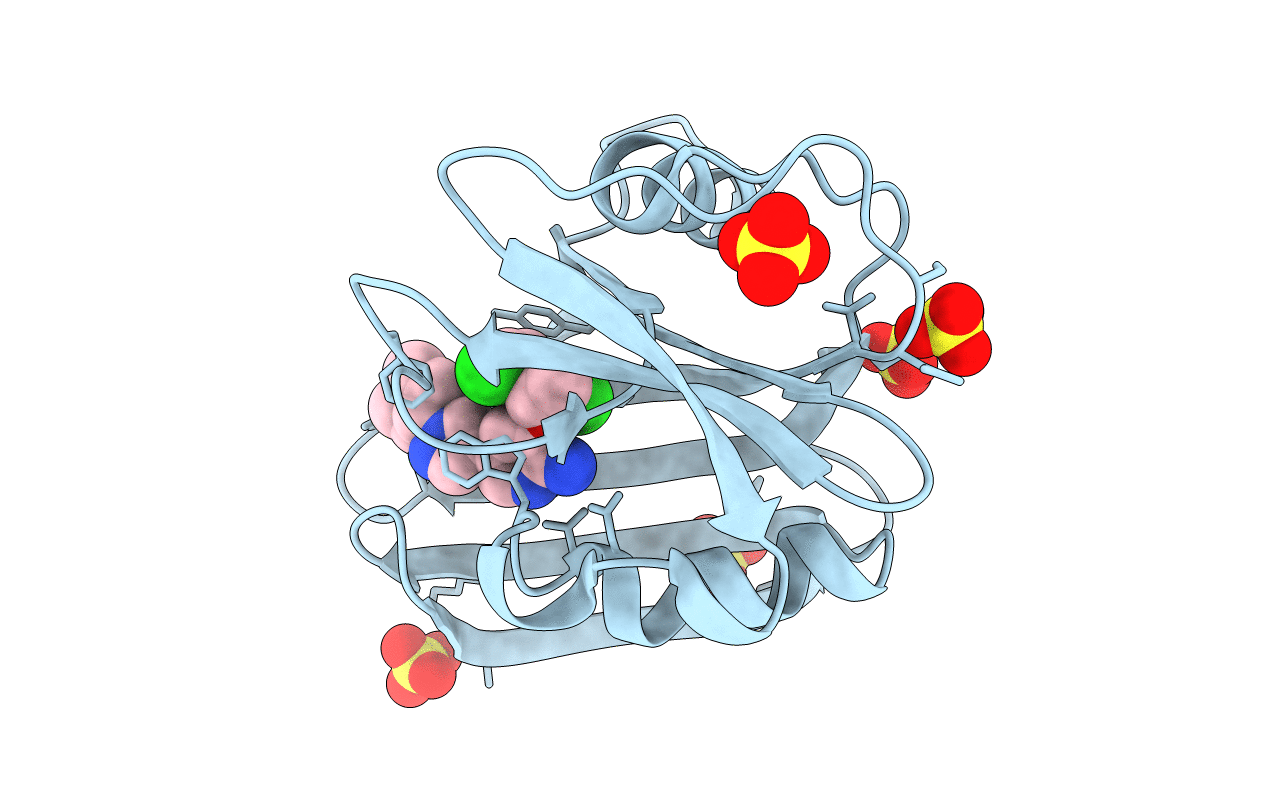 4C9X image