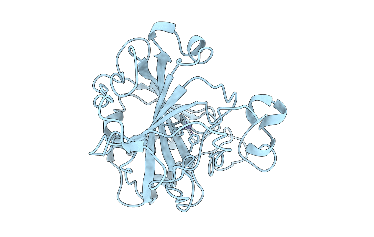4CAC image