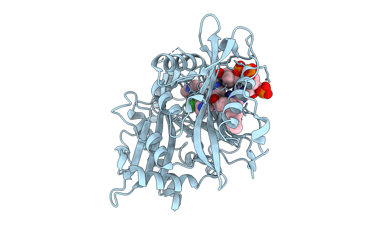 4CAX image