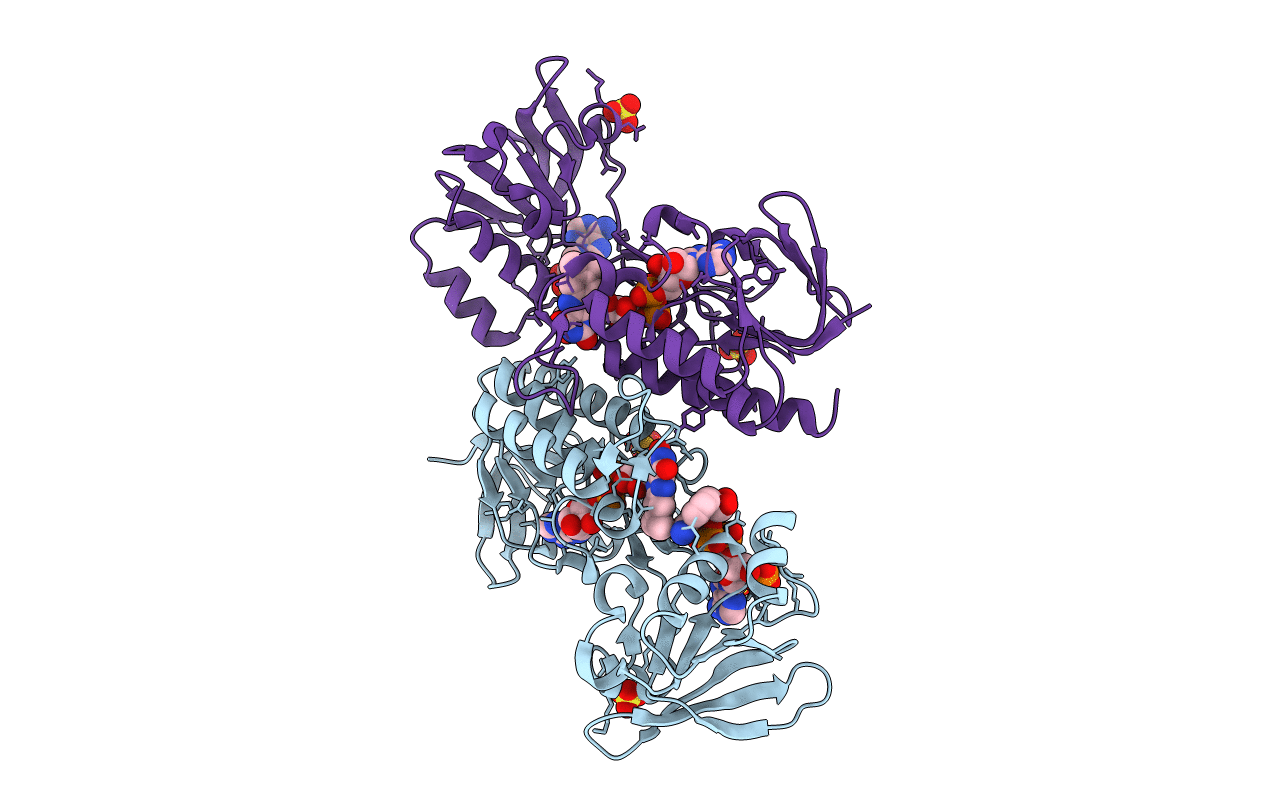 4CBQ image