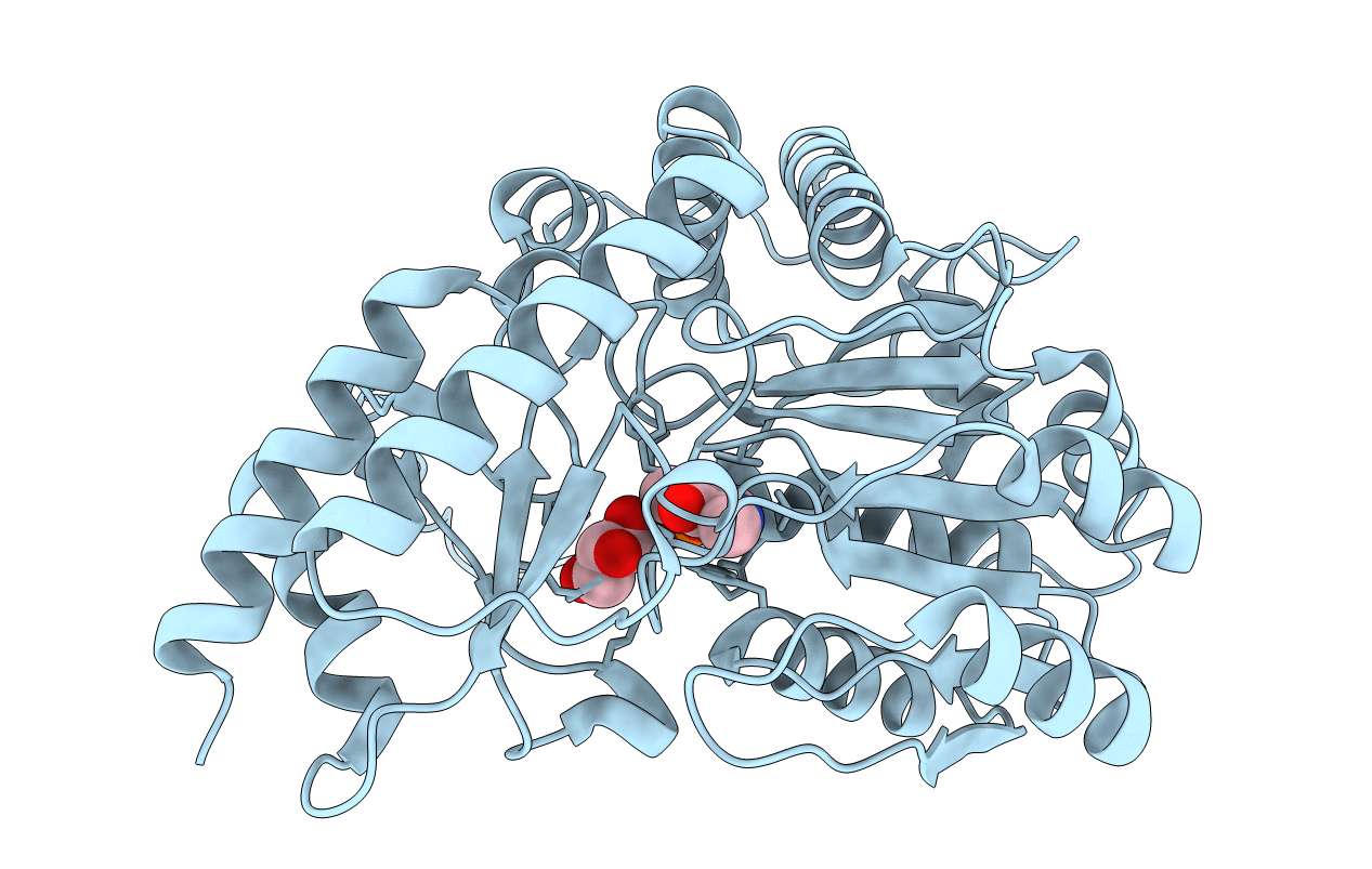 4CBR image