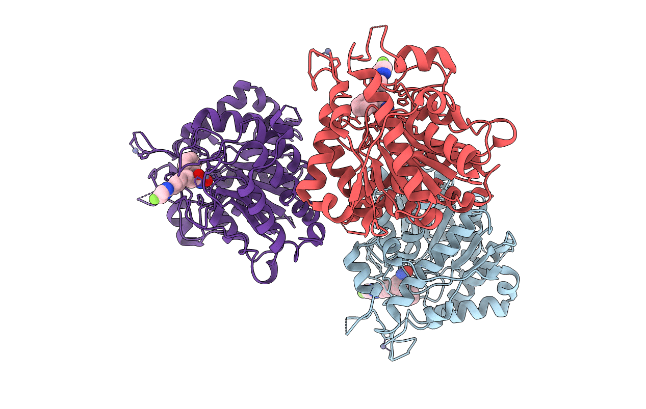 4CBT image