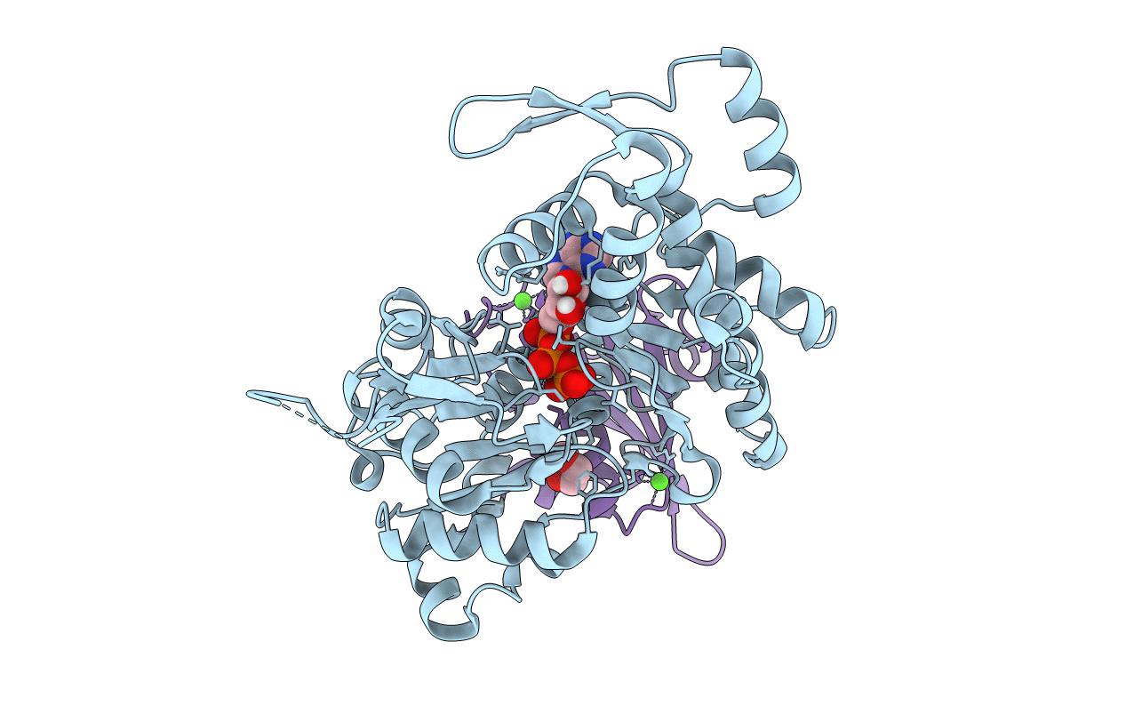 4CBW image