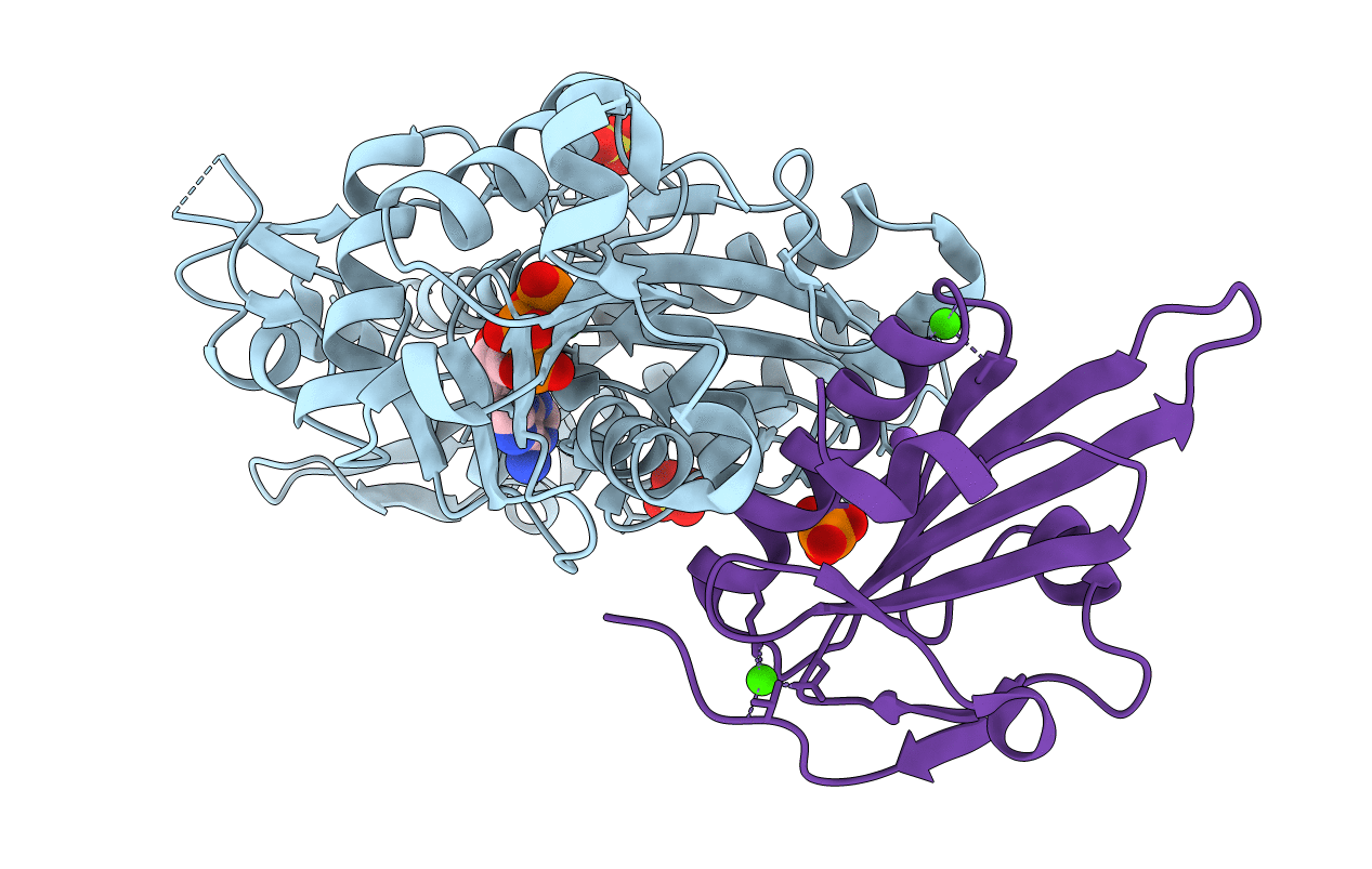 4CBX image