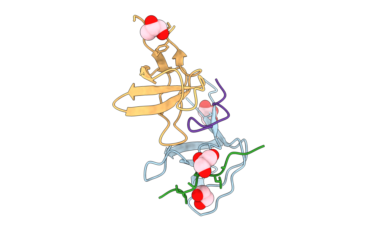 4CC2 image