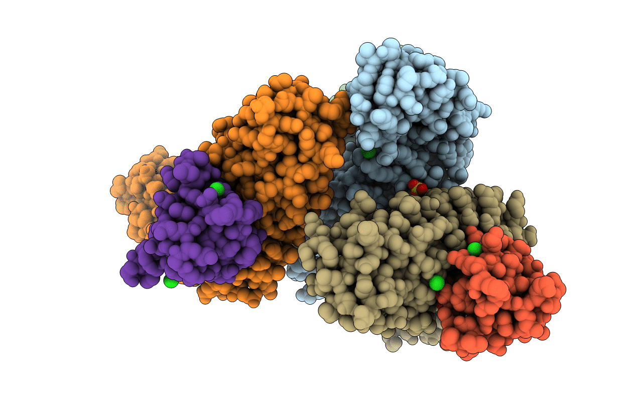 4CC4 image