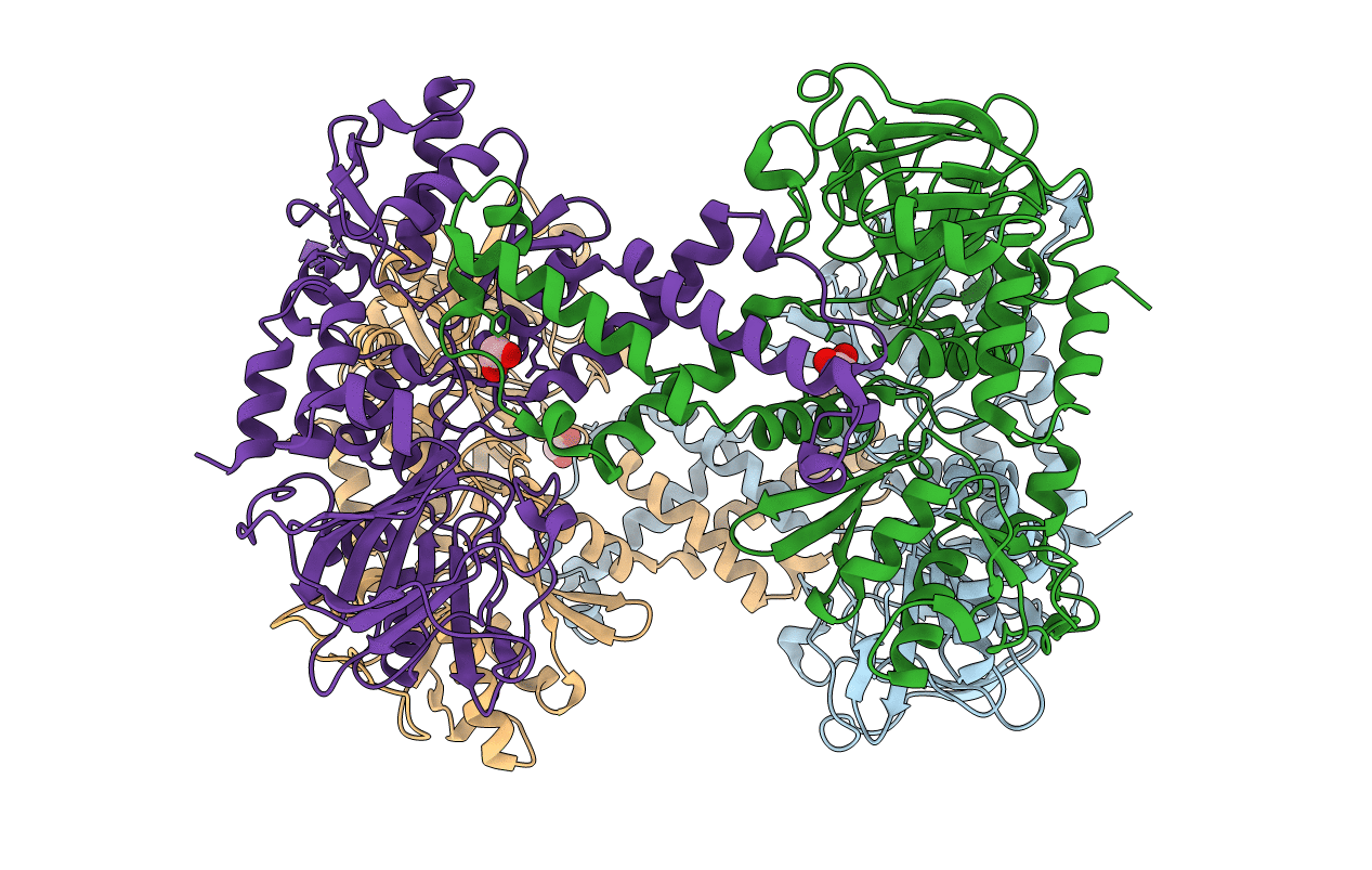 4CCJ image
