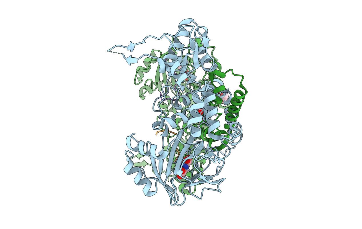 4CCM image