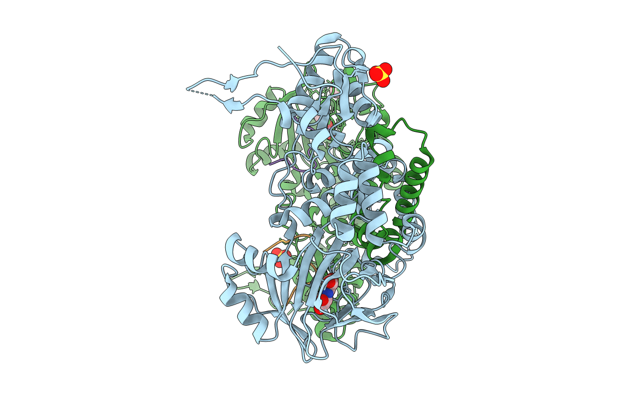 4CCN image